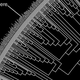 Illustration for article titled This Hillis plot will humble you with its representation of humanitys true place in nature